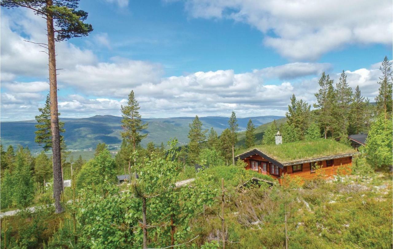 Cozy Home In Rendalen With House A Mountain View Svarstad  Exterior photo